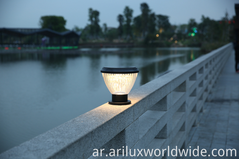 Solar Garden Lights 1